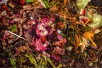 Services-RSE-Gestion-des-déchets-GREENEDIT Services-RSE-Gestion-des-déchets-GREENEDIT
